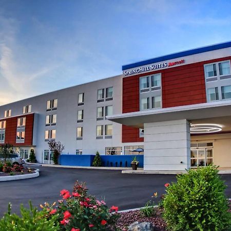 Springhill Suites By Marriott Scranton Montage Mountain Moosic Экстерьер фото